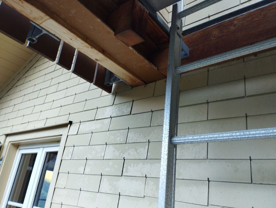  Bienennest entfernen