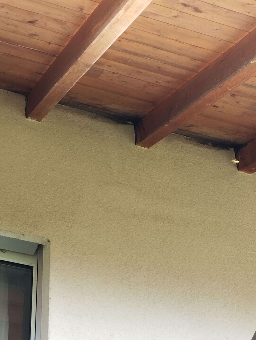  Bienennest entfernen.jpeg