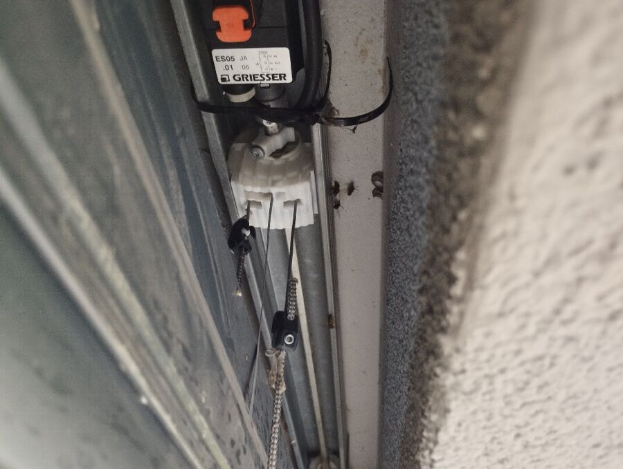 Bienen umsiedeln &  Bienennest entfernen 