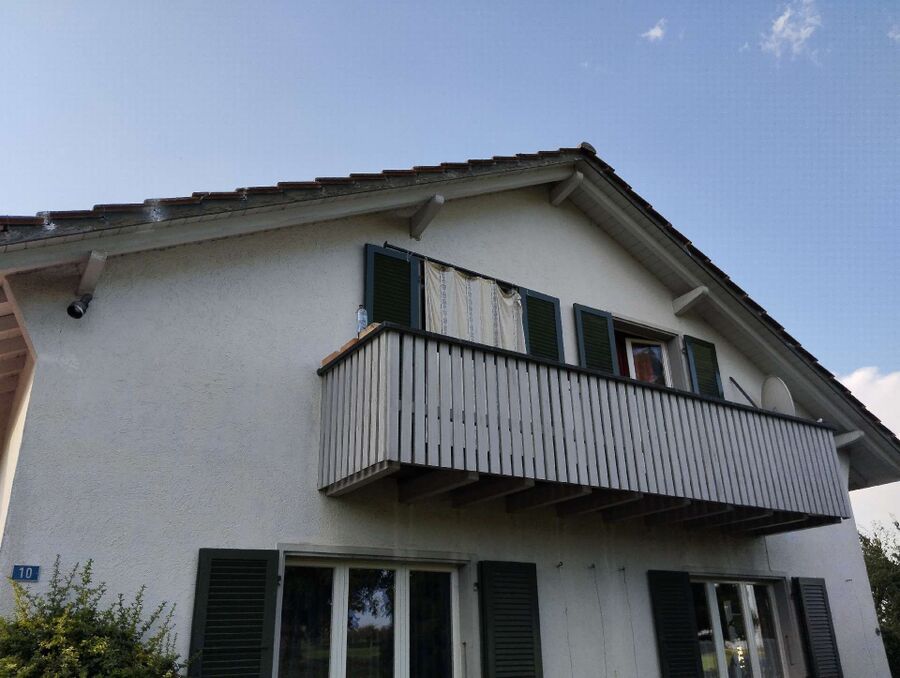  Bienennest entfernen.jpeg