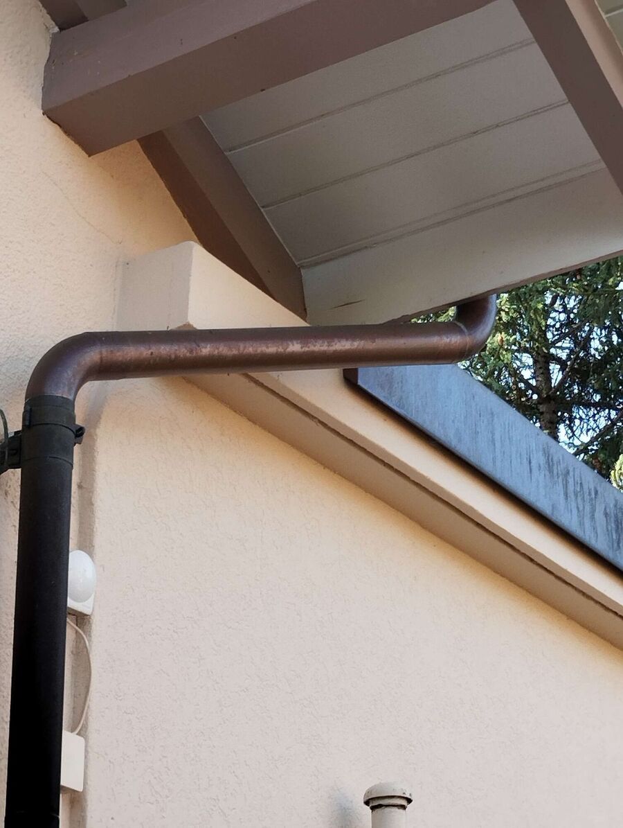  Bienennest entfernen