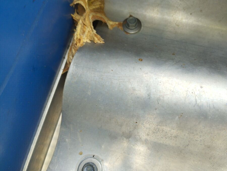  Bienennest entfernen