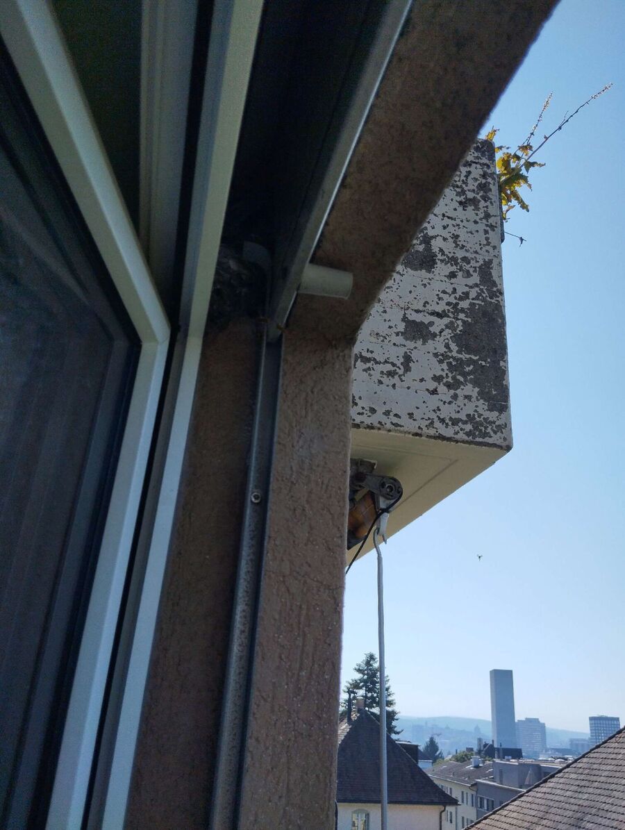 Bienen umsiedeln &  Bienennest entfernen 