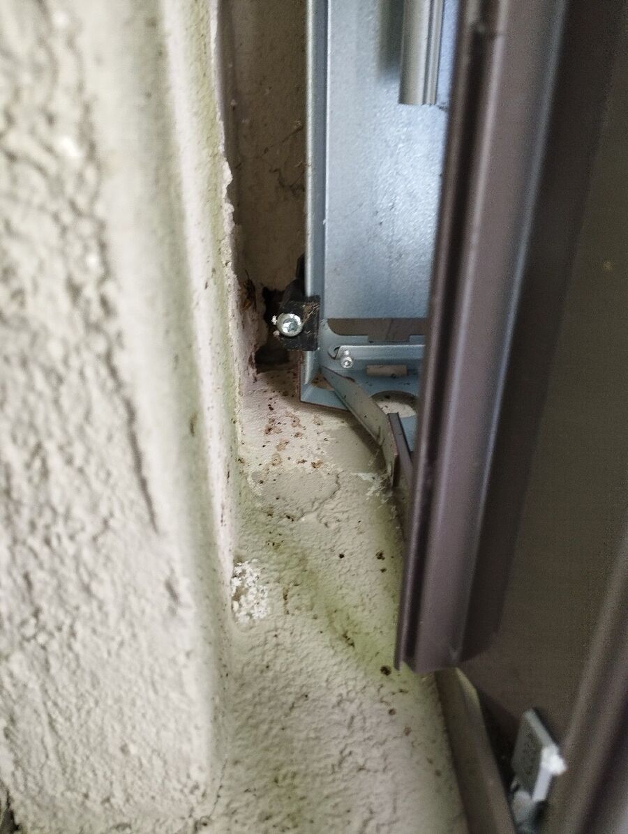  Bienennest entfernen