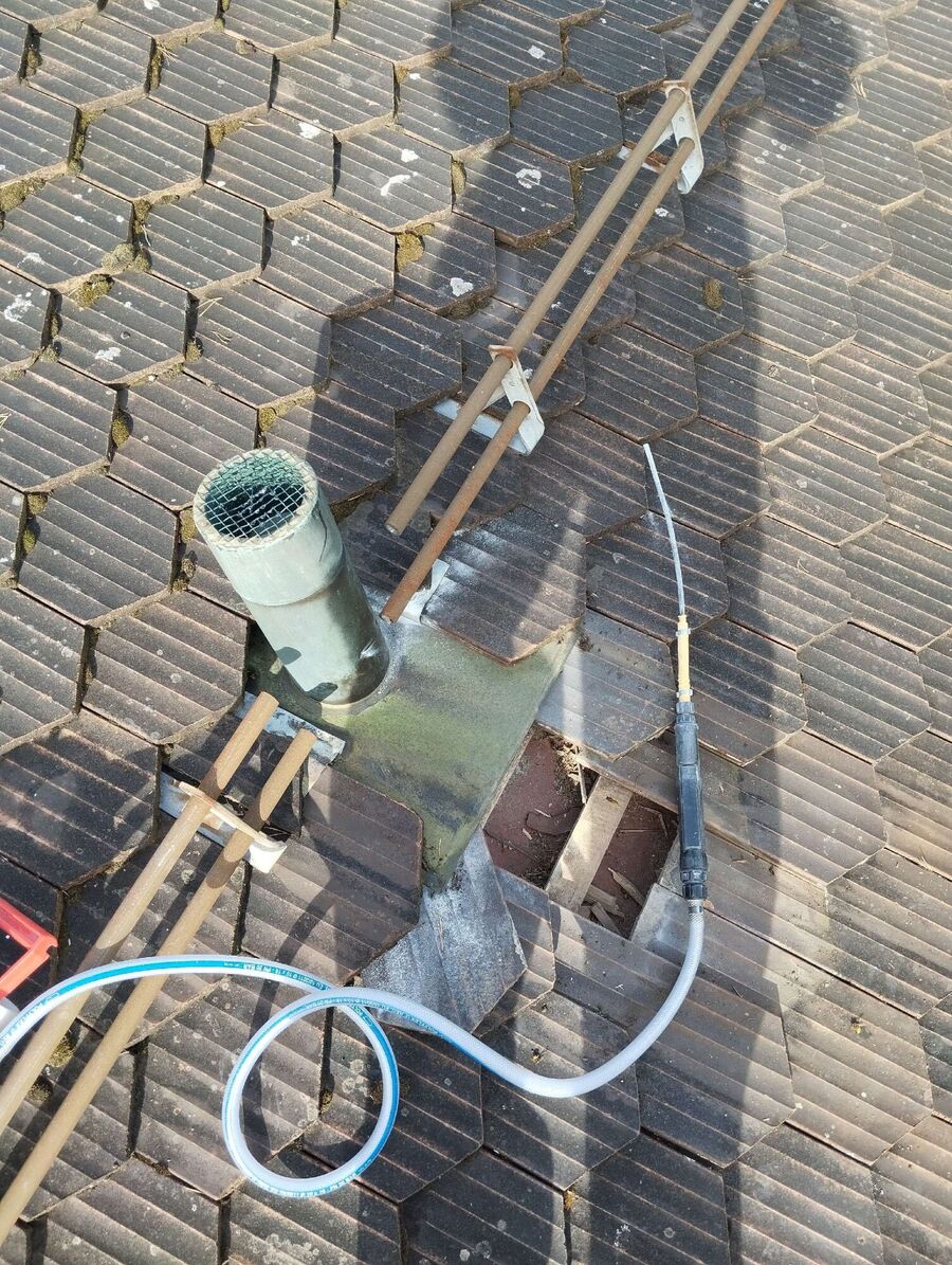 Bienen umsiedeln &  Bienennest entfernen 