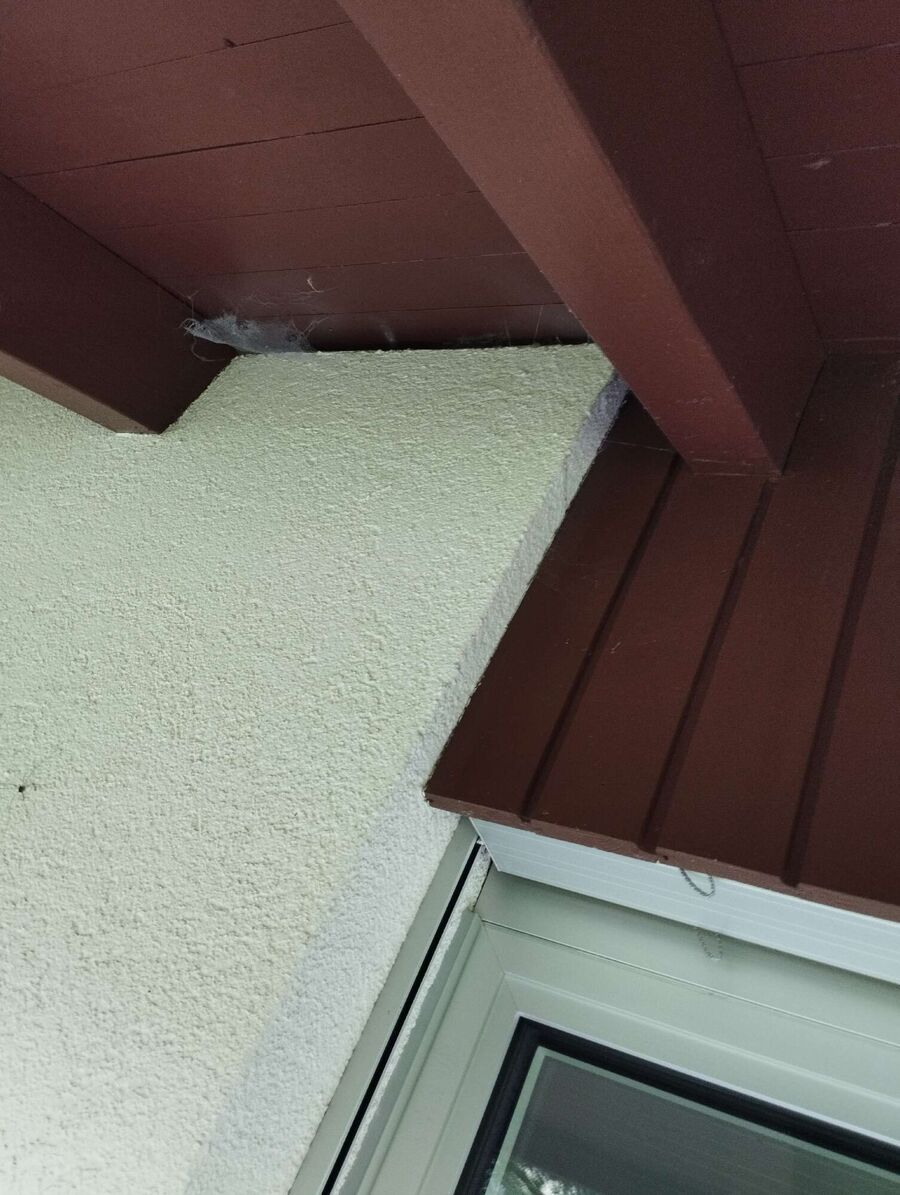  Bienennest entfernen