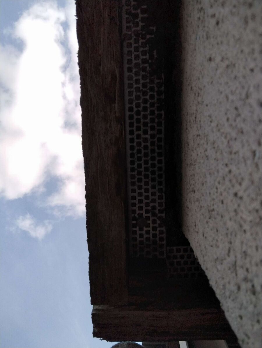  Bienennest entfernen