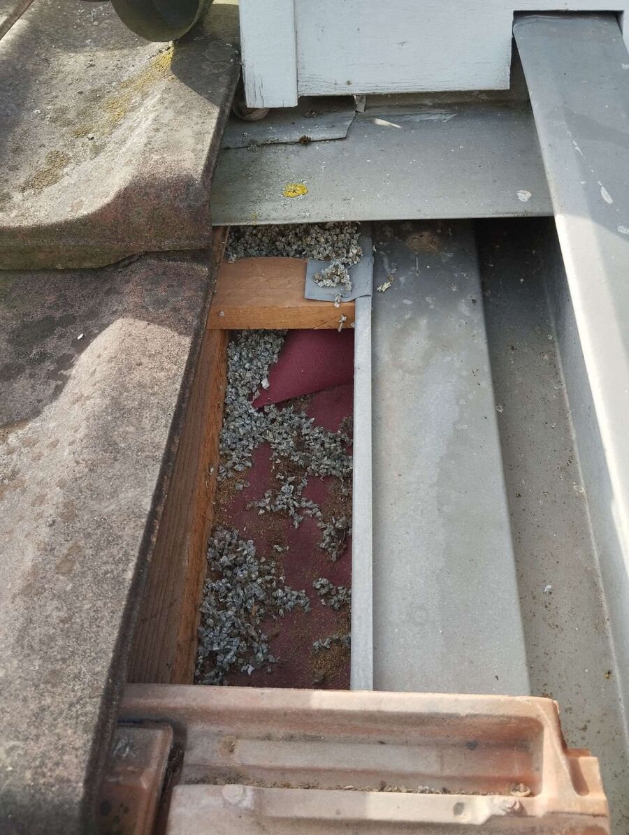  Bienennest entfernen