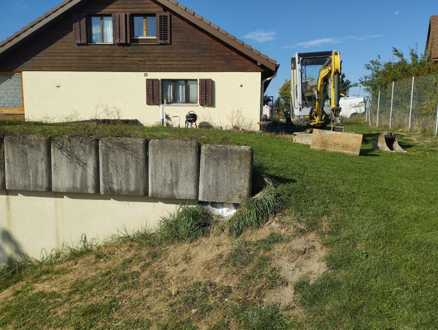 Bienen umsiedeln &  Bienennest entfernen 