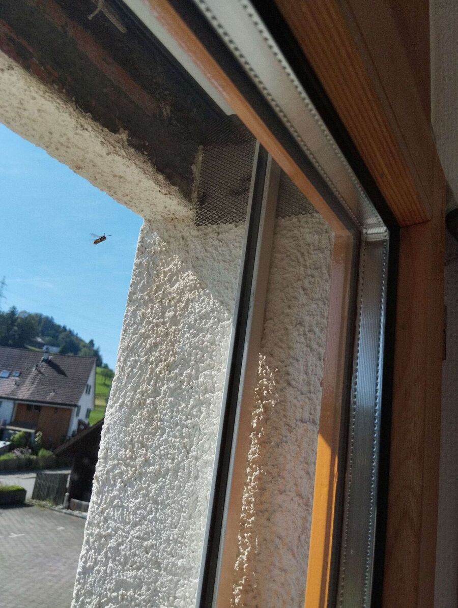  Bienennest entfernen.jpeg