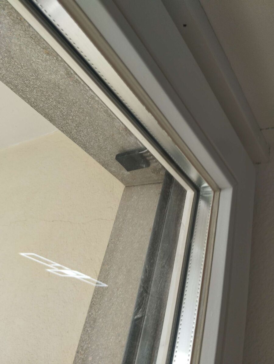  Bienennest entfernen.jpeg