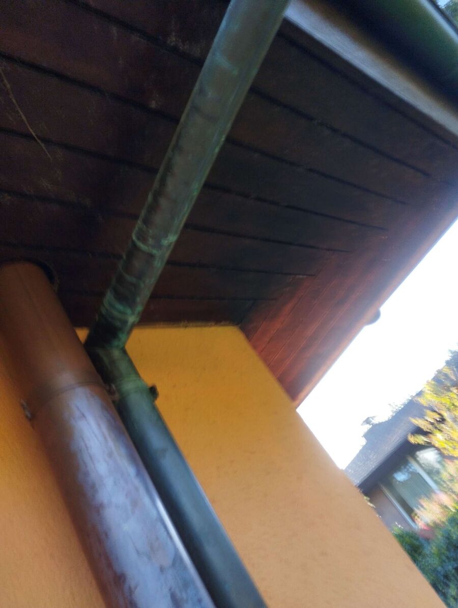  Bienennest entfernen