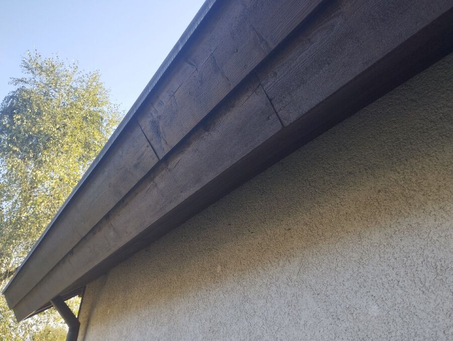 Bienen umsiedeln &  Bienennest entfernen 