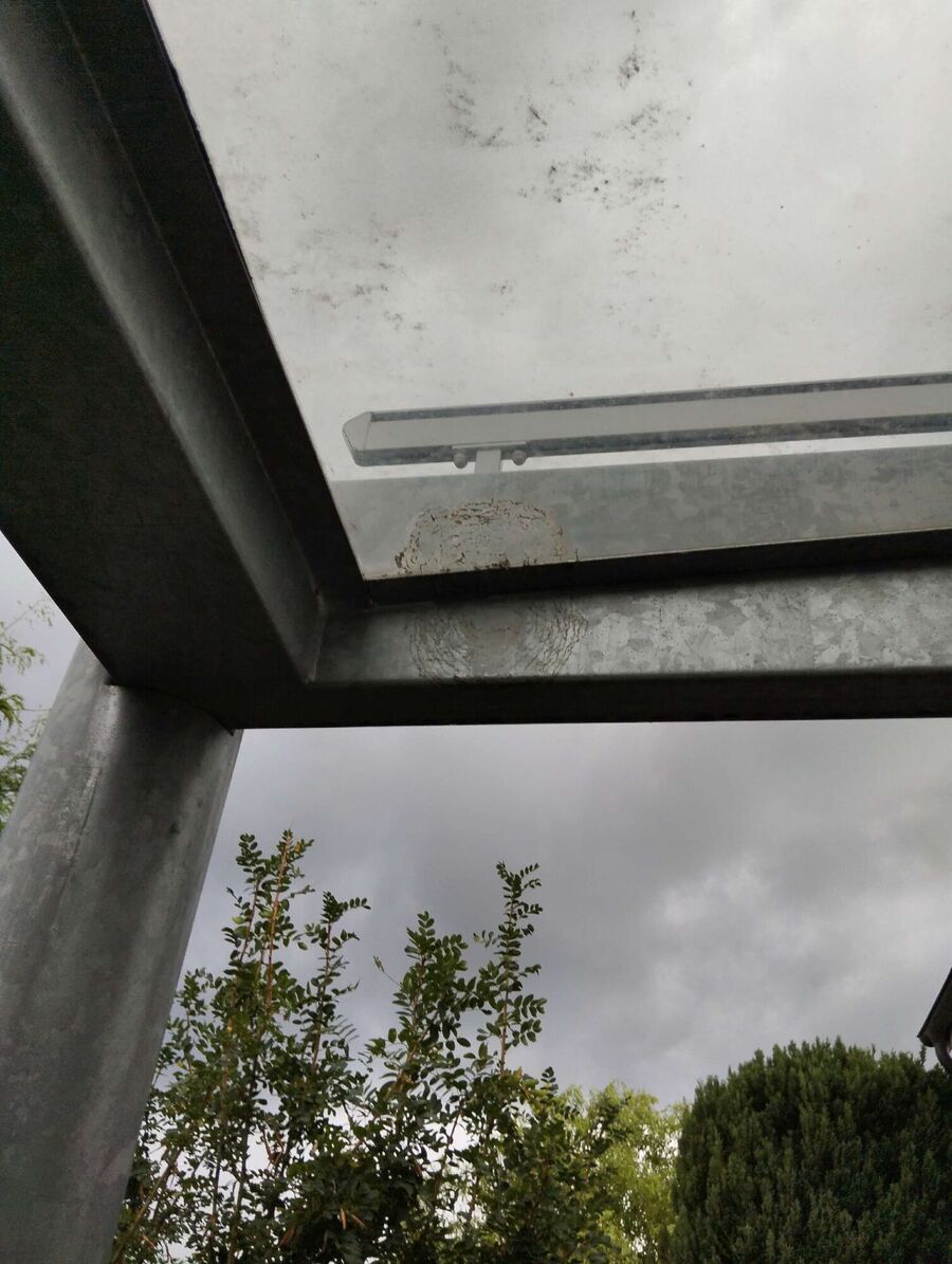  Bienennest entfernen