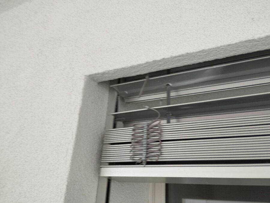  Bienennest entfernen.jpeg