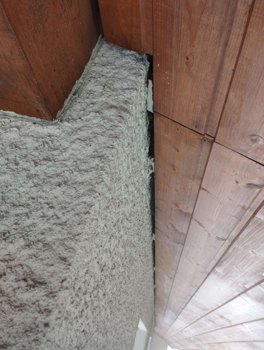  Bienennest entfernen