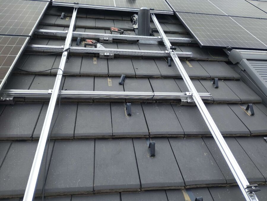 Bienen umsiedeln &  Bienennest entfernen 