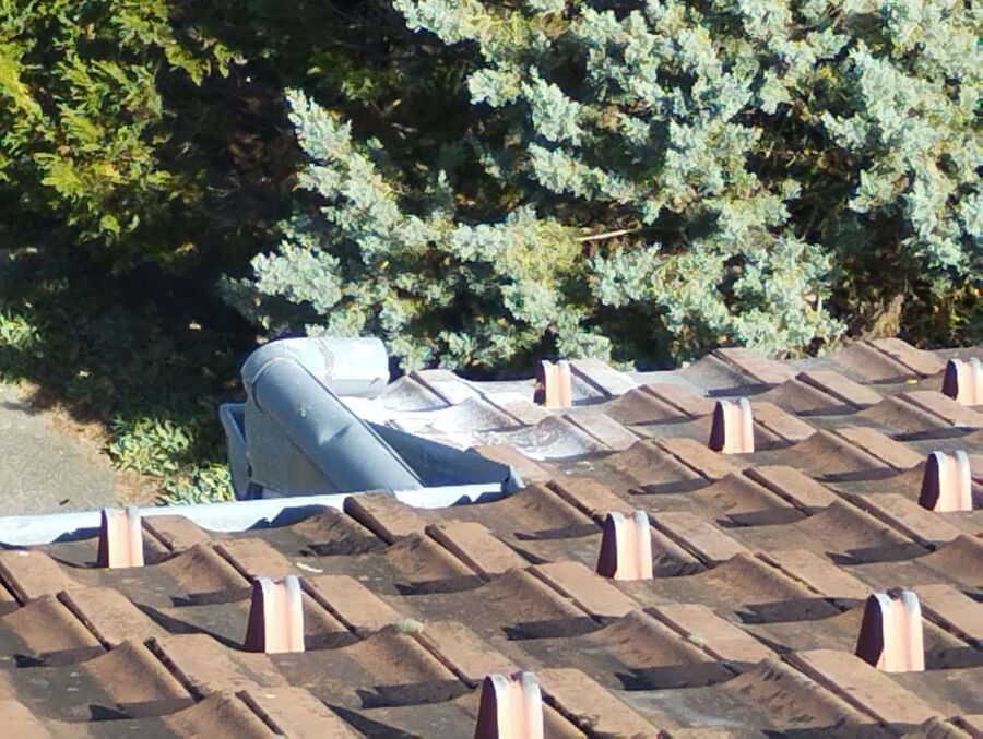  Bienennest entfernen.jpeg