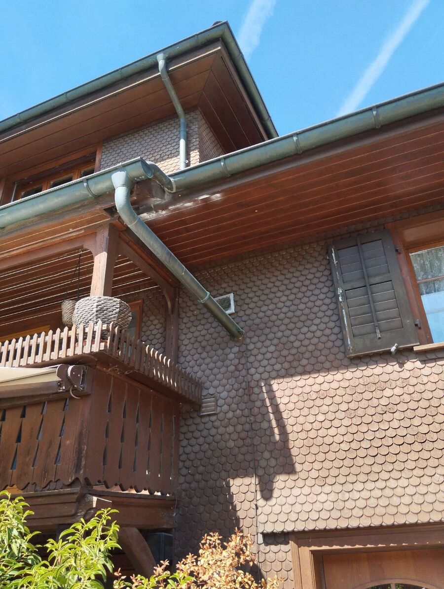  Bienennest entfernen