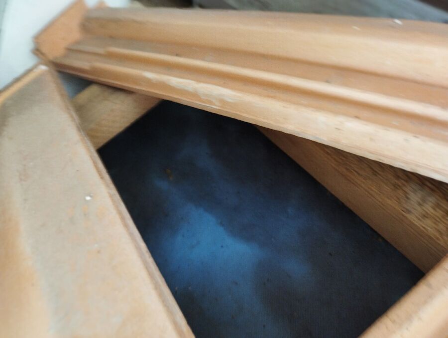 Bienen umsiedeln &  Bienennest entfernen 