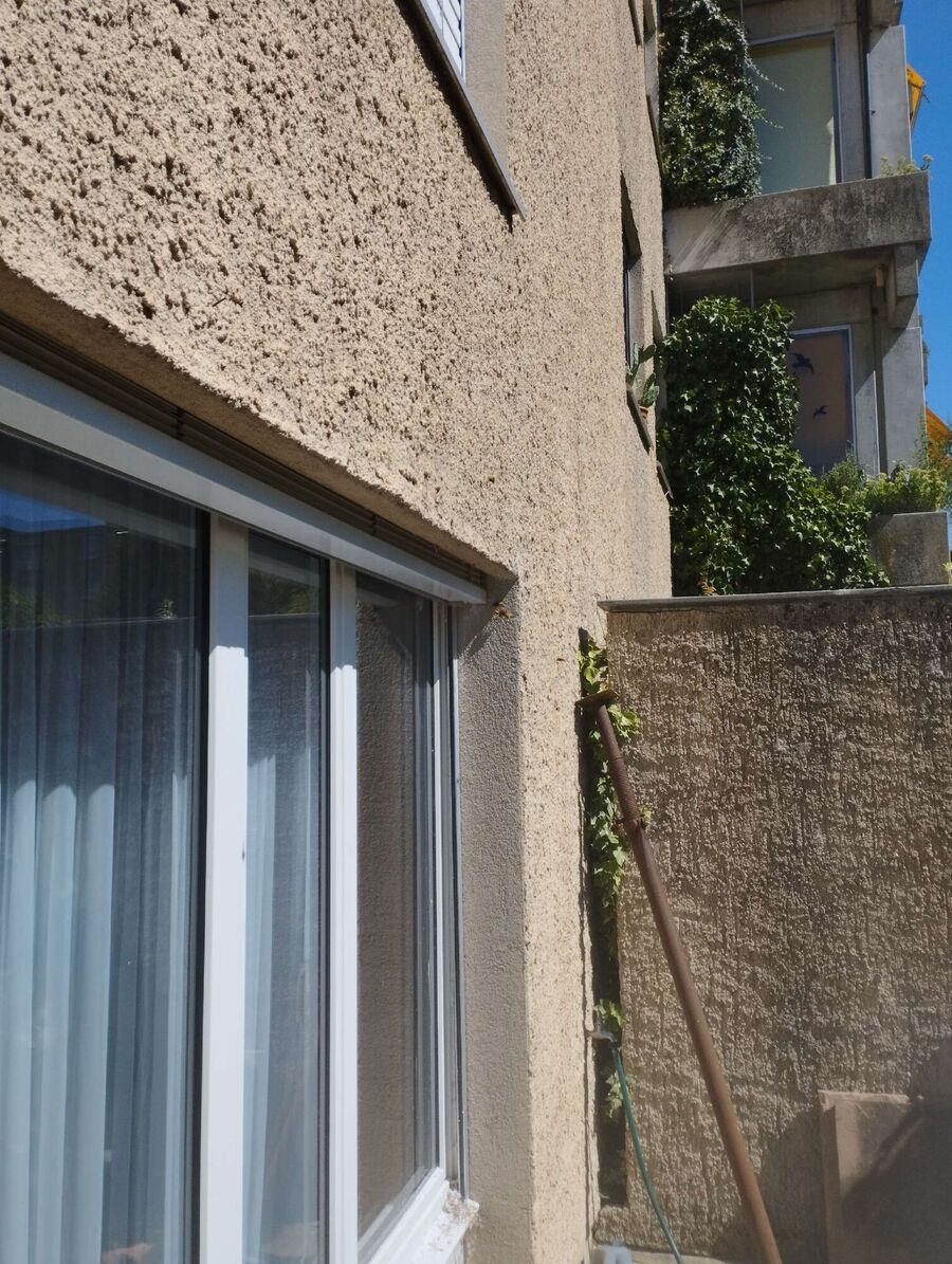  Bienennest entfernen.jpeg