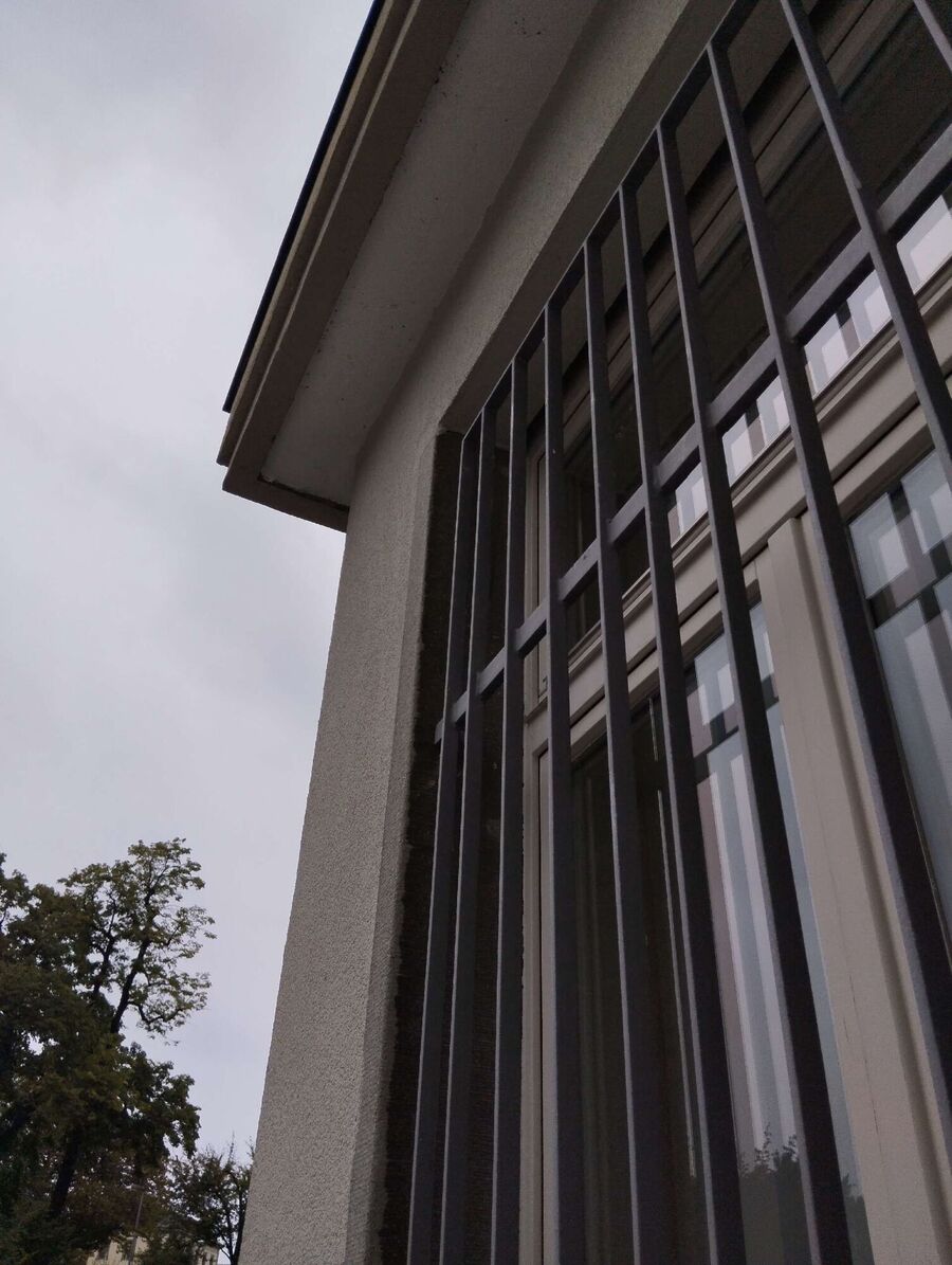  Bienennest entfernen.jpeg