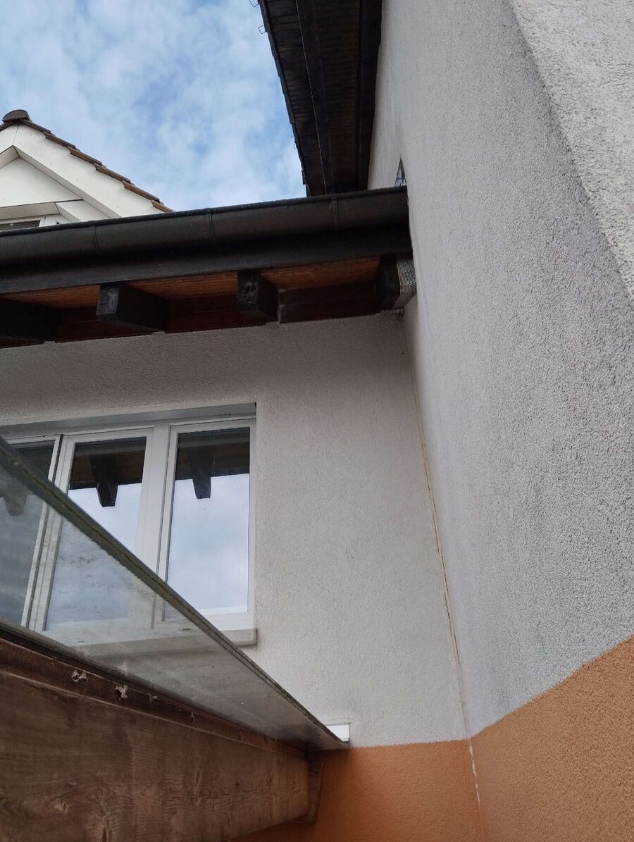  Bienennest entfernen.jpeg