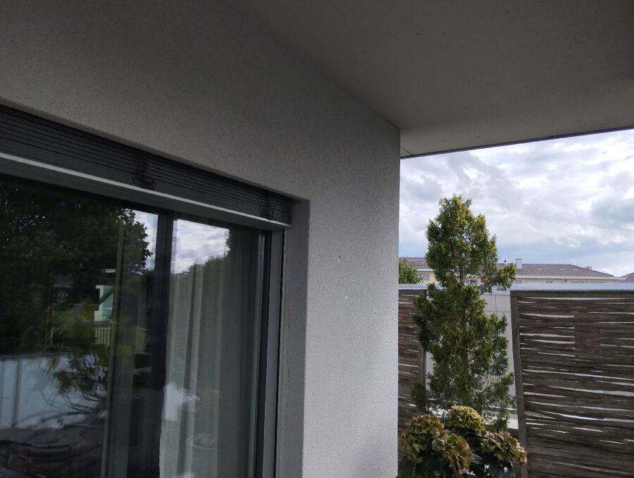 Bienen umsiedeln &  Bienennest entfernen 