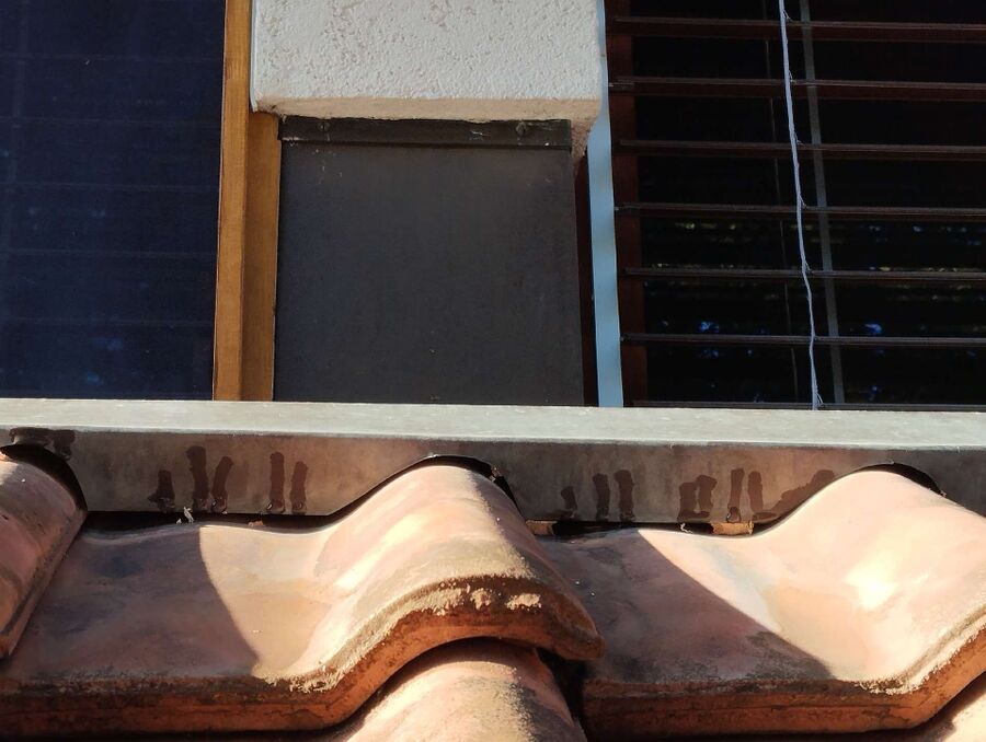 Bienen umsiedeln &  Bienennest entfernen 