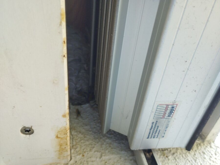  Bienennest entfernen.jpeg