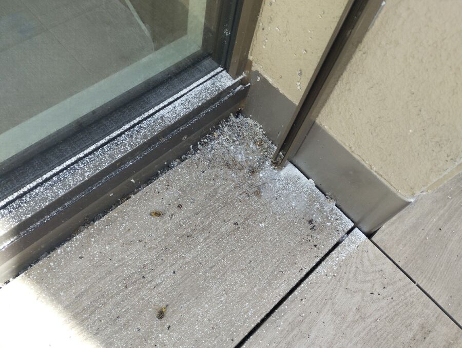 Bienen umsiedeln &  Bienennest entfernen 