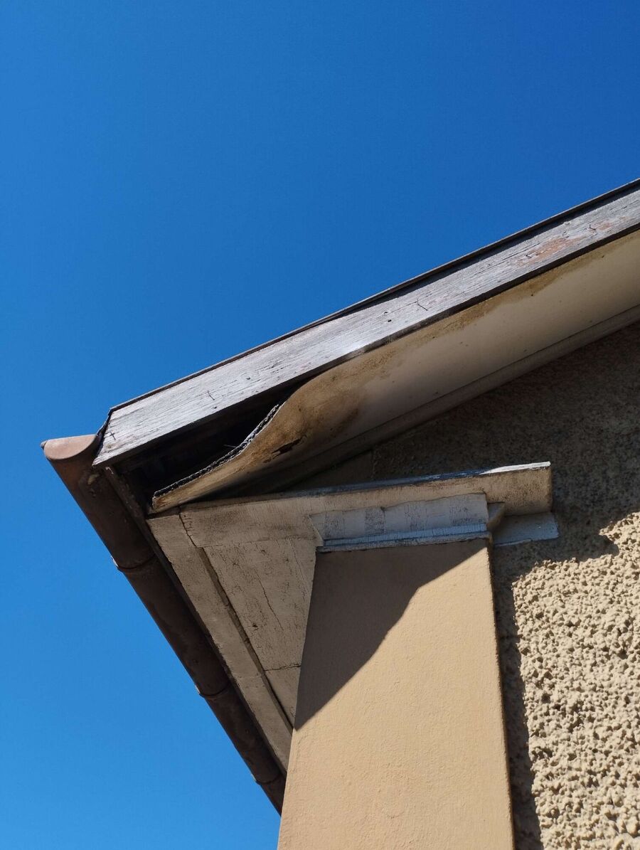  Bienennest entfernen