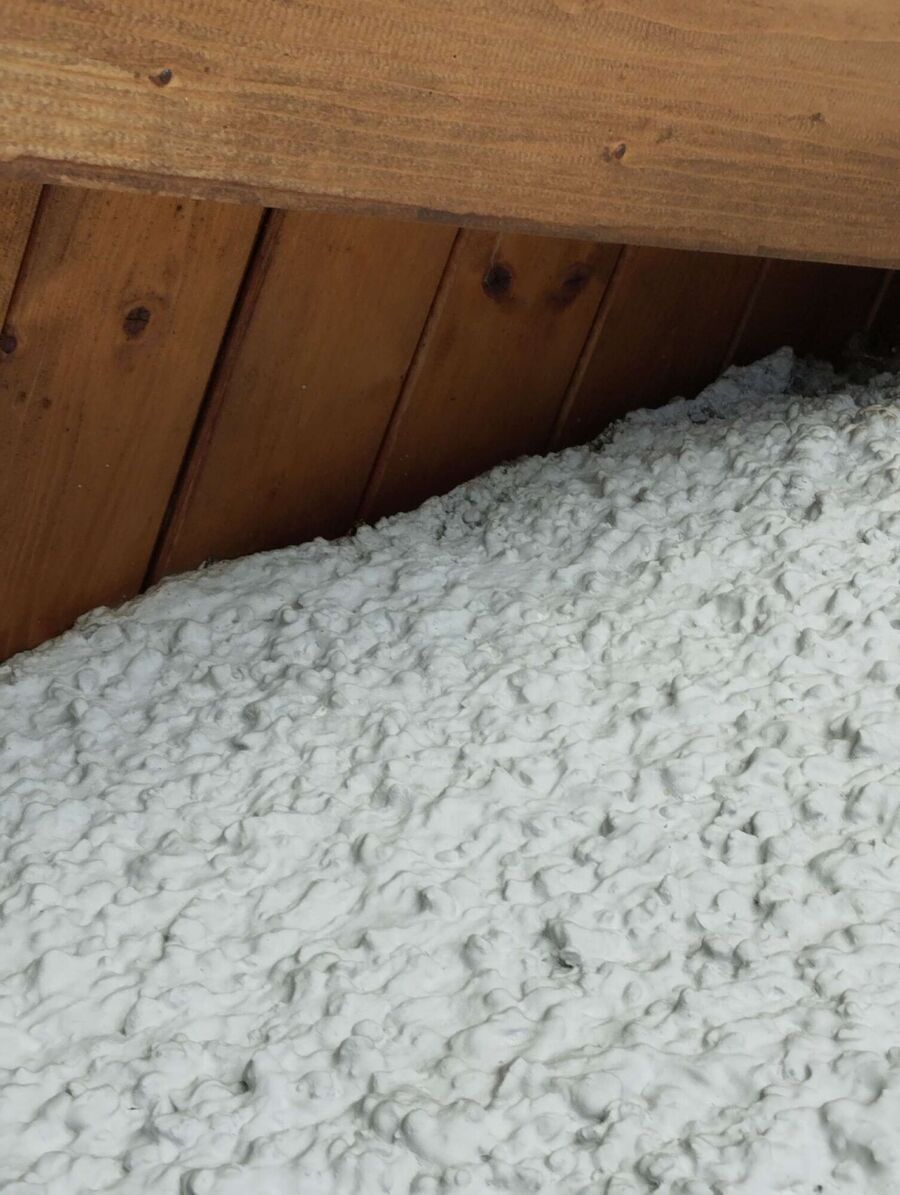 Bienen umsiedeln &  Bienennest entfernen 