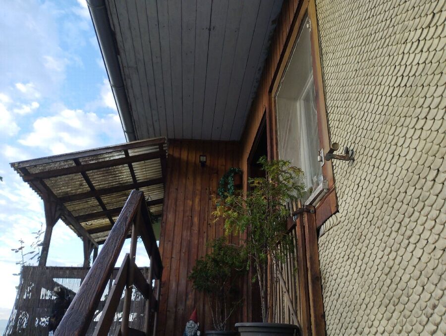 Bienen umsiedeln &  Bienennest entfernen 