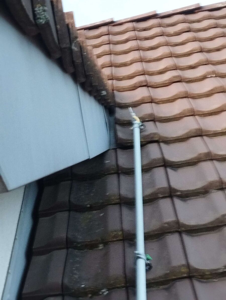  Bienennest entfernen.jpeg