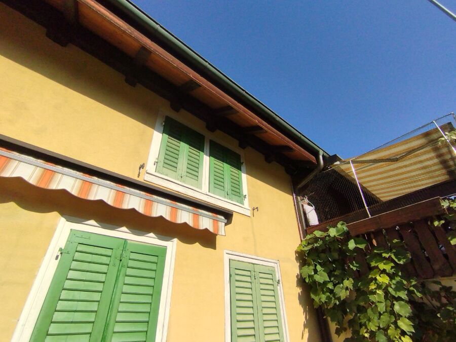  Bienennest entfernen