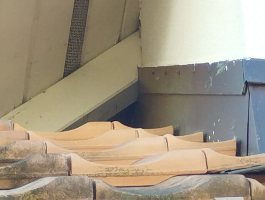  Bienennest entfernen