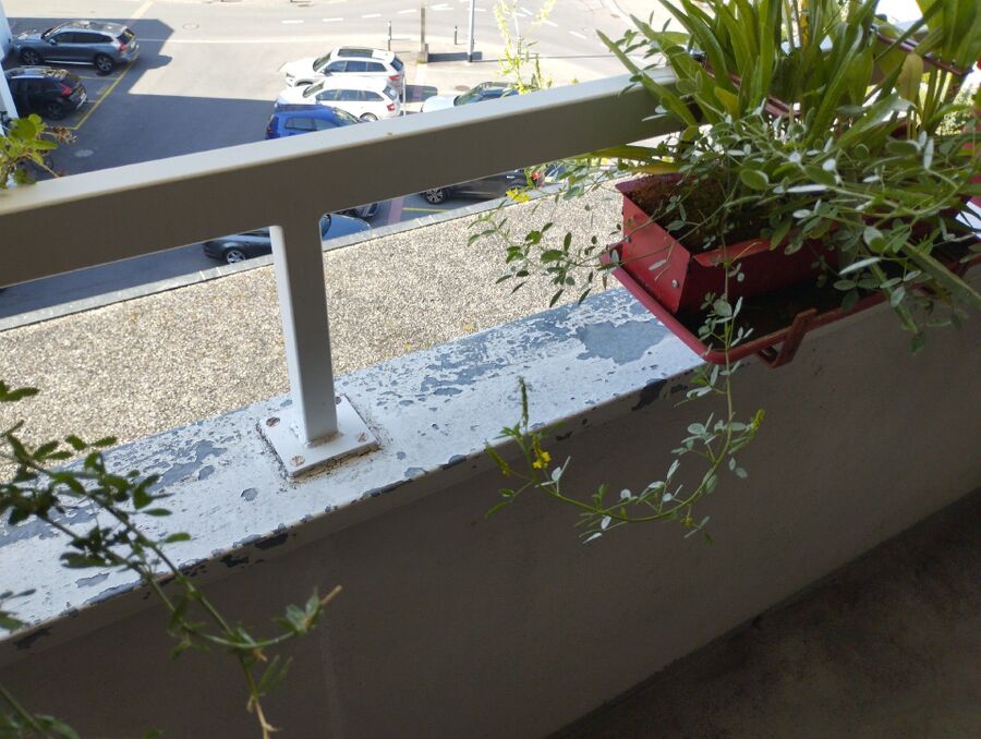 Bienen umsiedeln &  Bienennest entfernen 