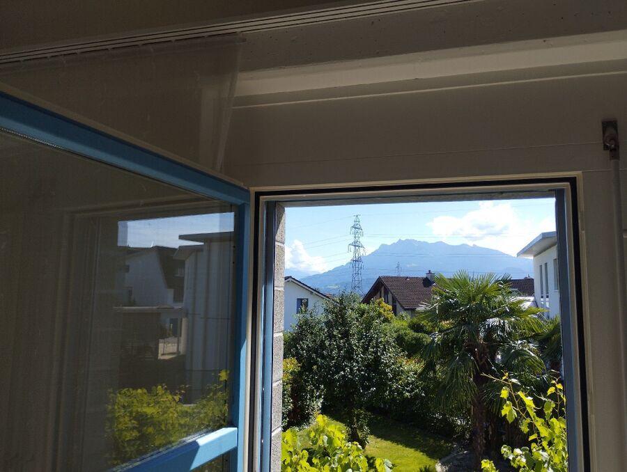  Bienennest entfernen