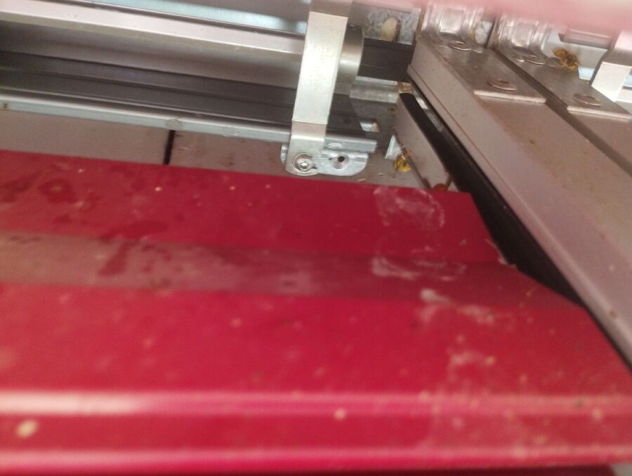 Bienen umsiedeln &  Bienennest entfernen 