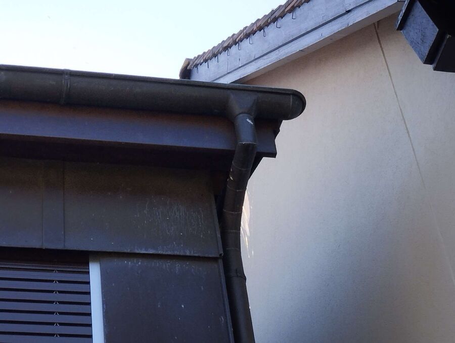  Bienennest entfernen.jpeg