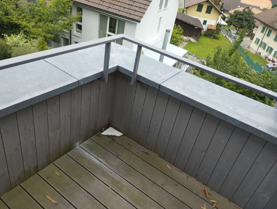  Bienennest entfernen.jpeg