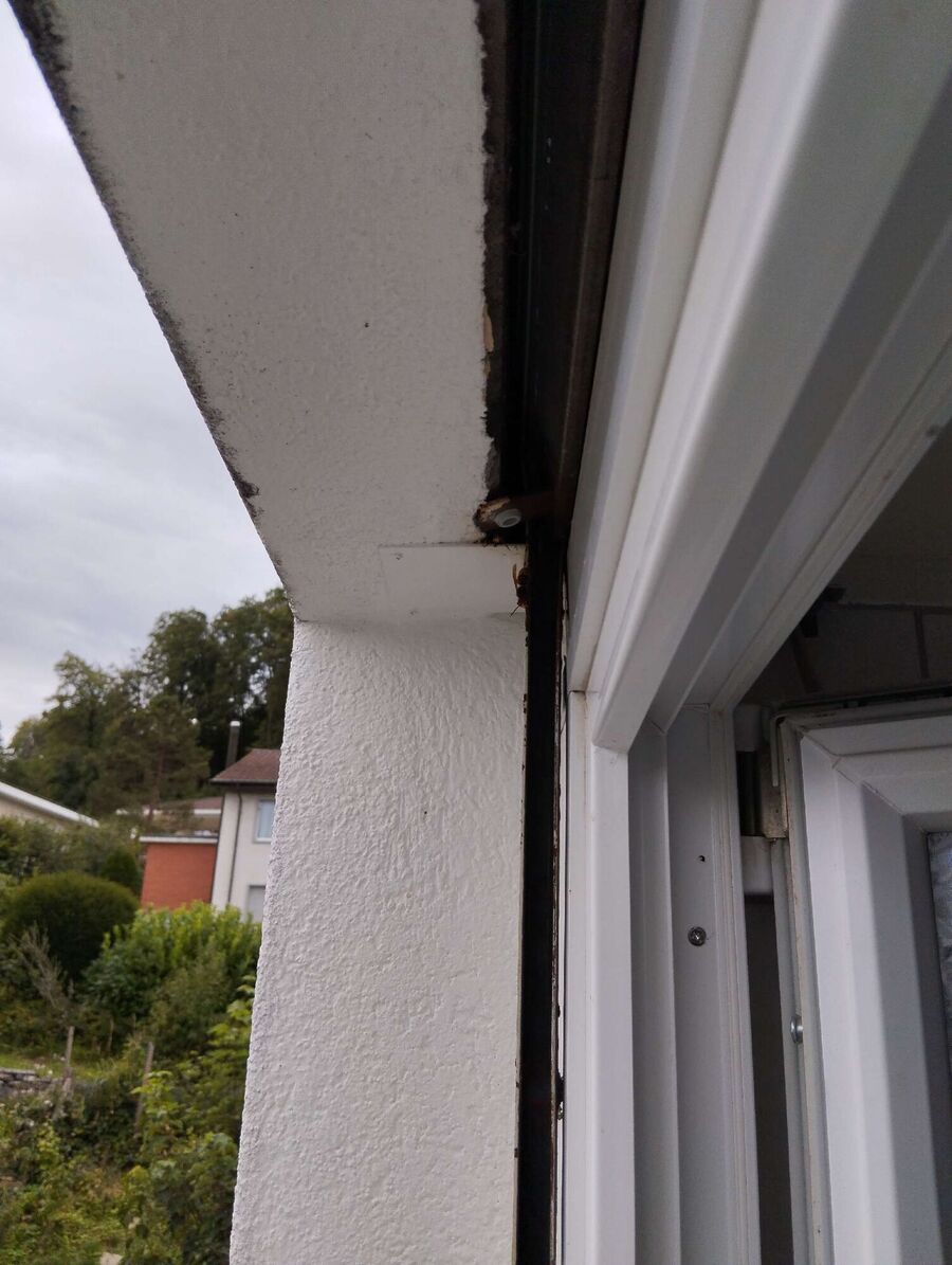  Bienennest entfernen.jpeg