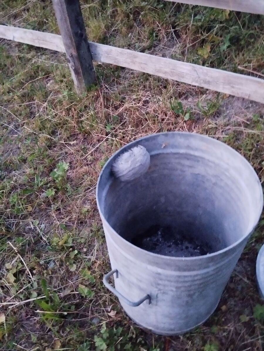  Bienennest entfernen.jpeg