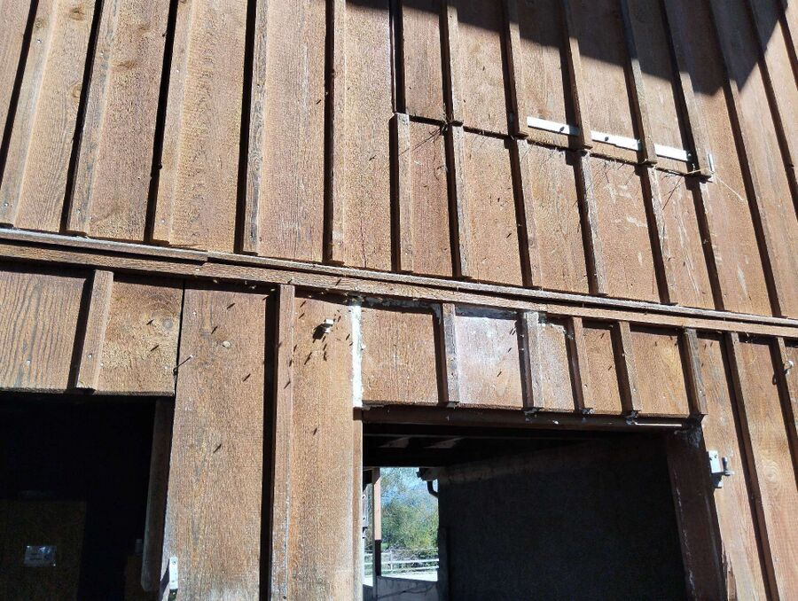  Bienennest entfernen.jpeg