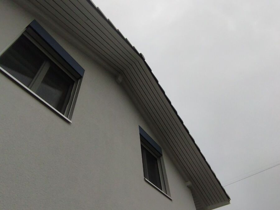  Bienennest entfernen.jpeg