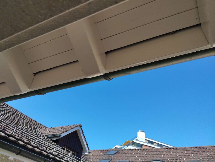  Bienennest entfernen