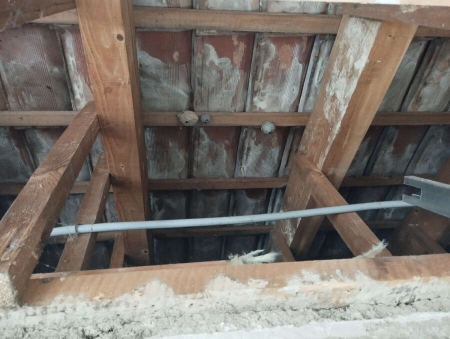  Bienennest entfernen.jpeg