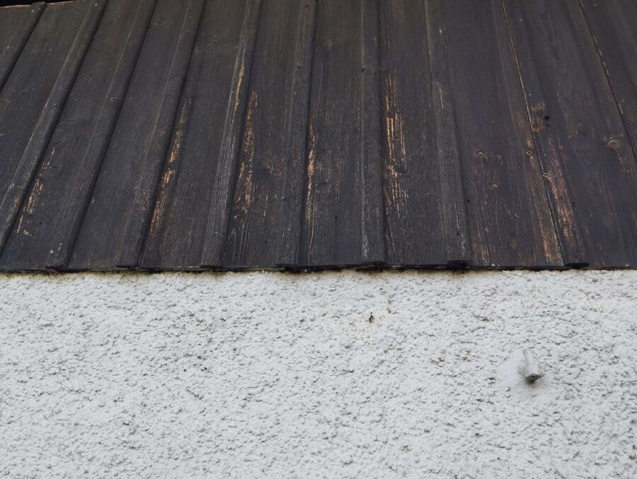 Bienen umsiedeln &  Bienennest entfernen 