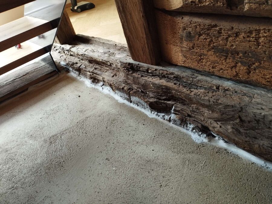  Bienennest entfernen.jpeg